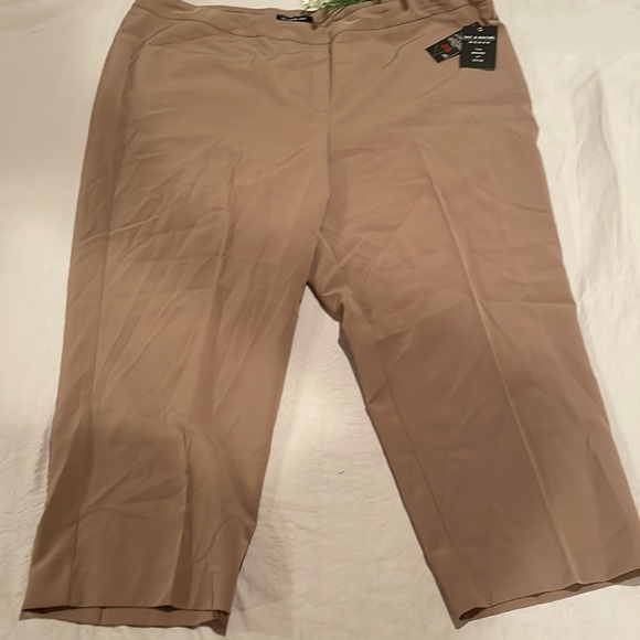 Zac & Rachel Pants - NWT Zac & Rachel Woman Bond 18 24W Taupe Tan Pant Wrinkle Resistant! Work & Play